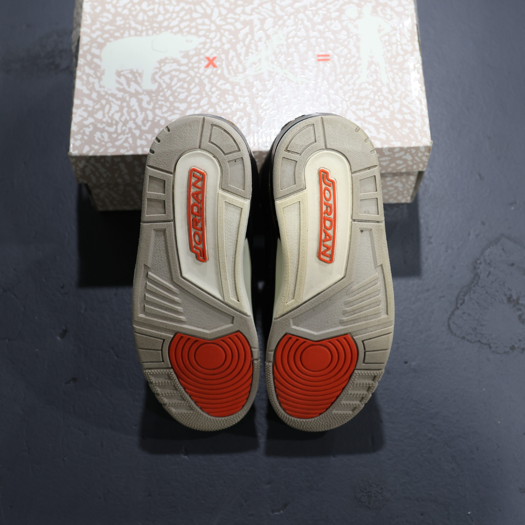 Air Jordan 3 Retro Desert Elephant (Used)