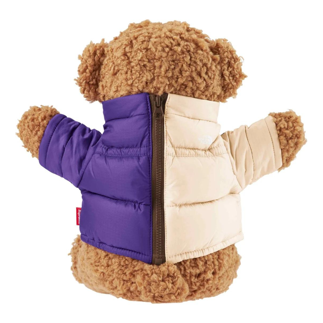 Supreme The North Face Bear