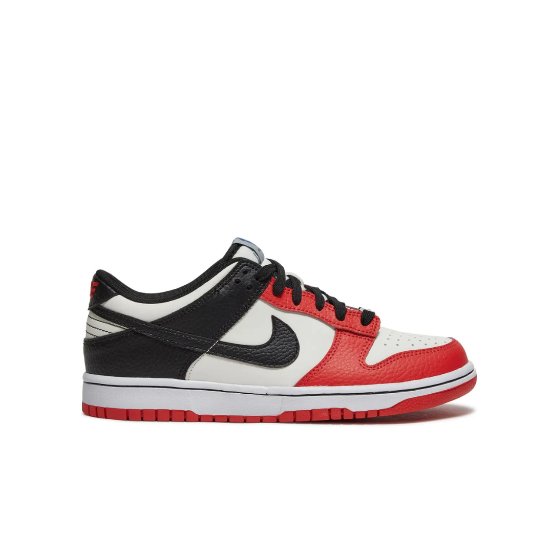 Nike Dunk Low EMB NBA 75th Anniversary Chicago (GS)