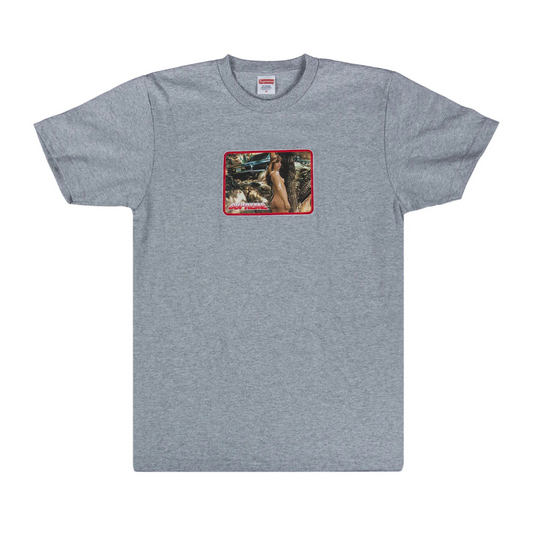 Supreme Larry Clark Girl Tee (SS17)(Grey)
